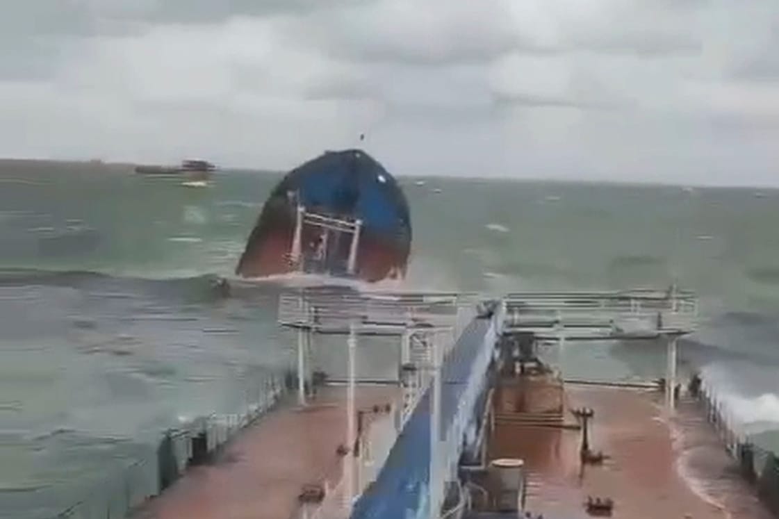 Tanker verunglückt in der Meerenge von Kertsch: Ölkatastrophe sorgt für Delfinsterben im Schwarzen Meer.