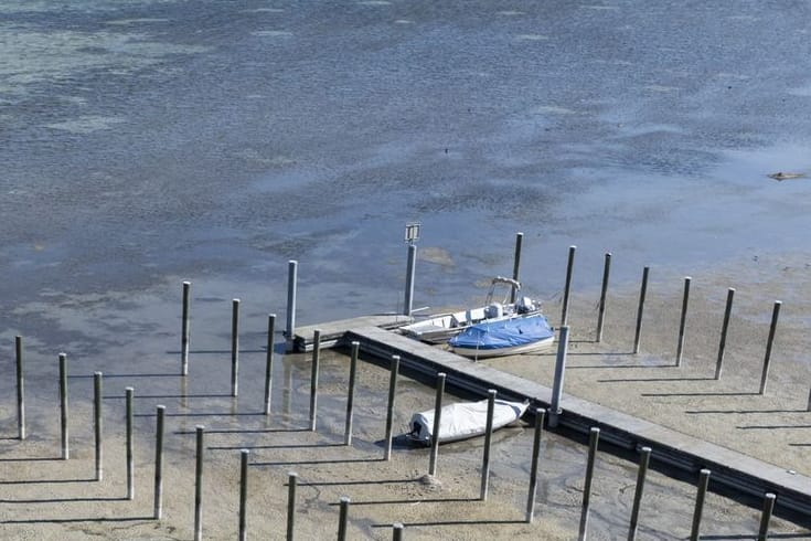 Gestrandete Schiffe liegen am Untersee. Im westlichen Teil des Bodensees ist der Wasserstand wegen anhaltender Trockenheit extrem niedrig.