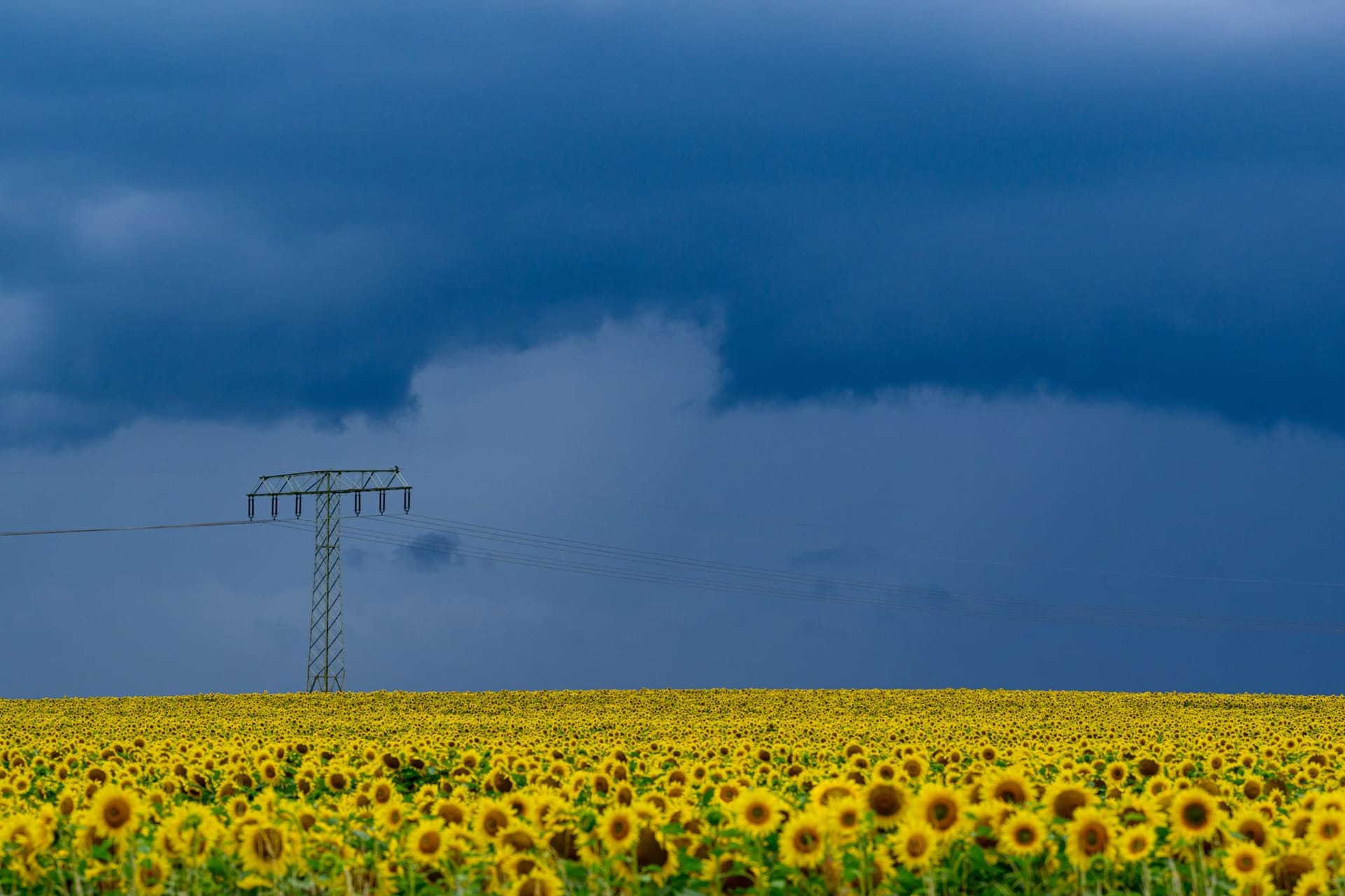 Wetter in Brandenburg
